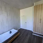 Apartman Merry Berlin